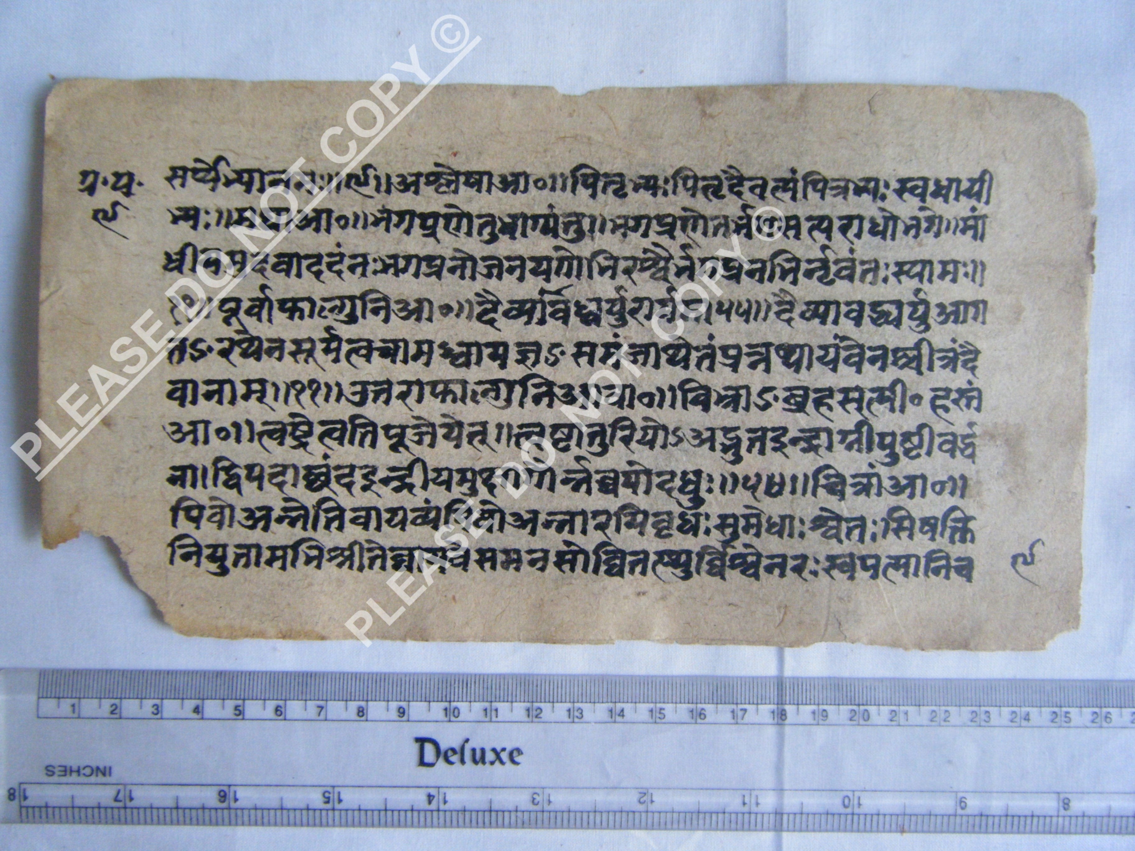 Antique Jain Cosmology Manuscript Folio