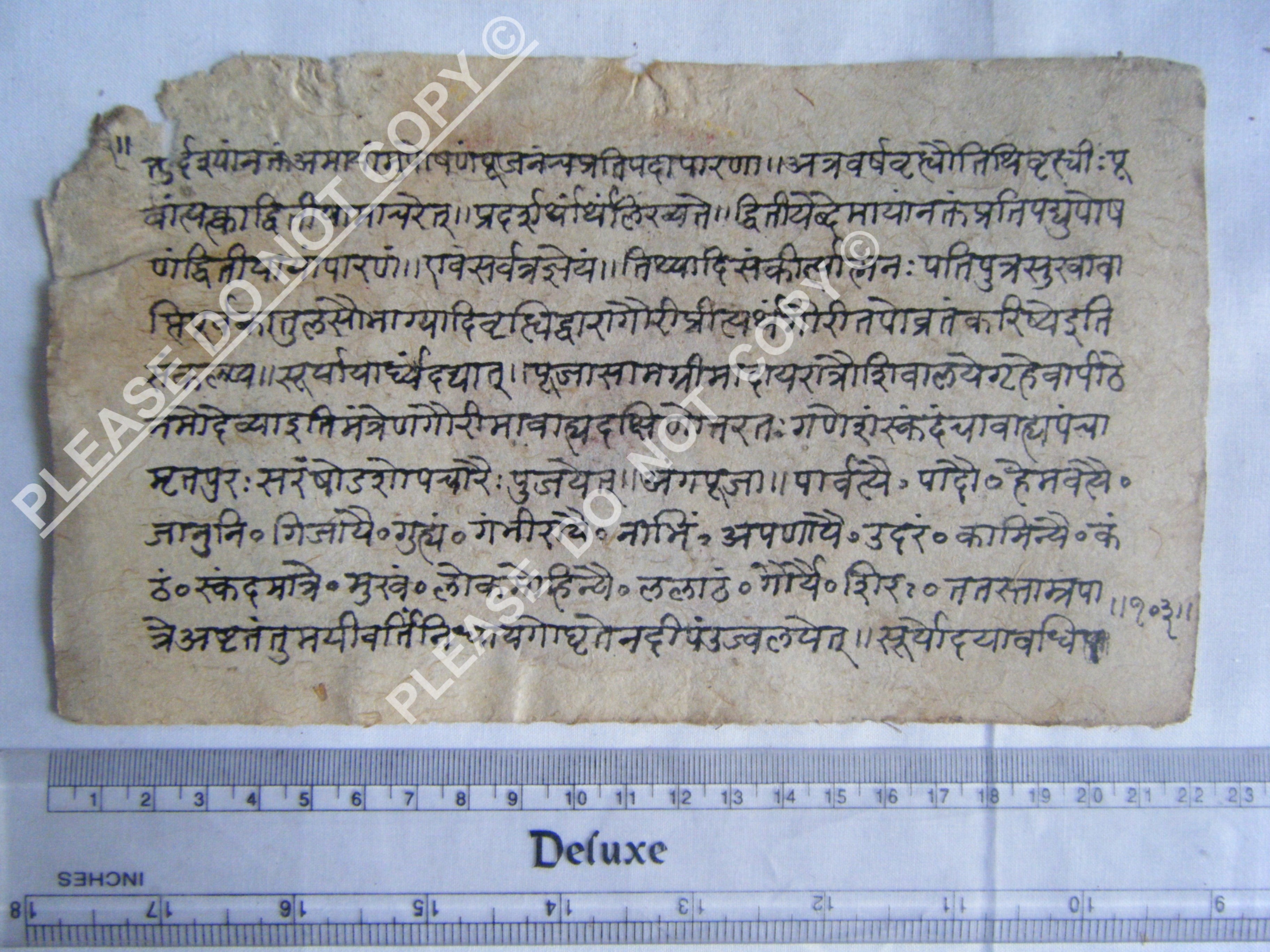 Rare Jain Cosmology Manuscript Folio