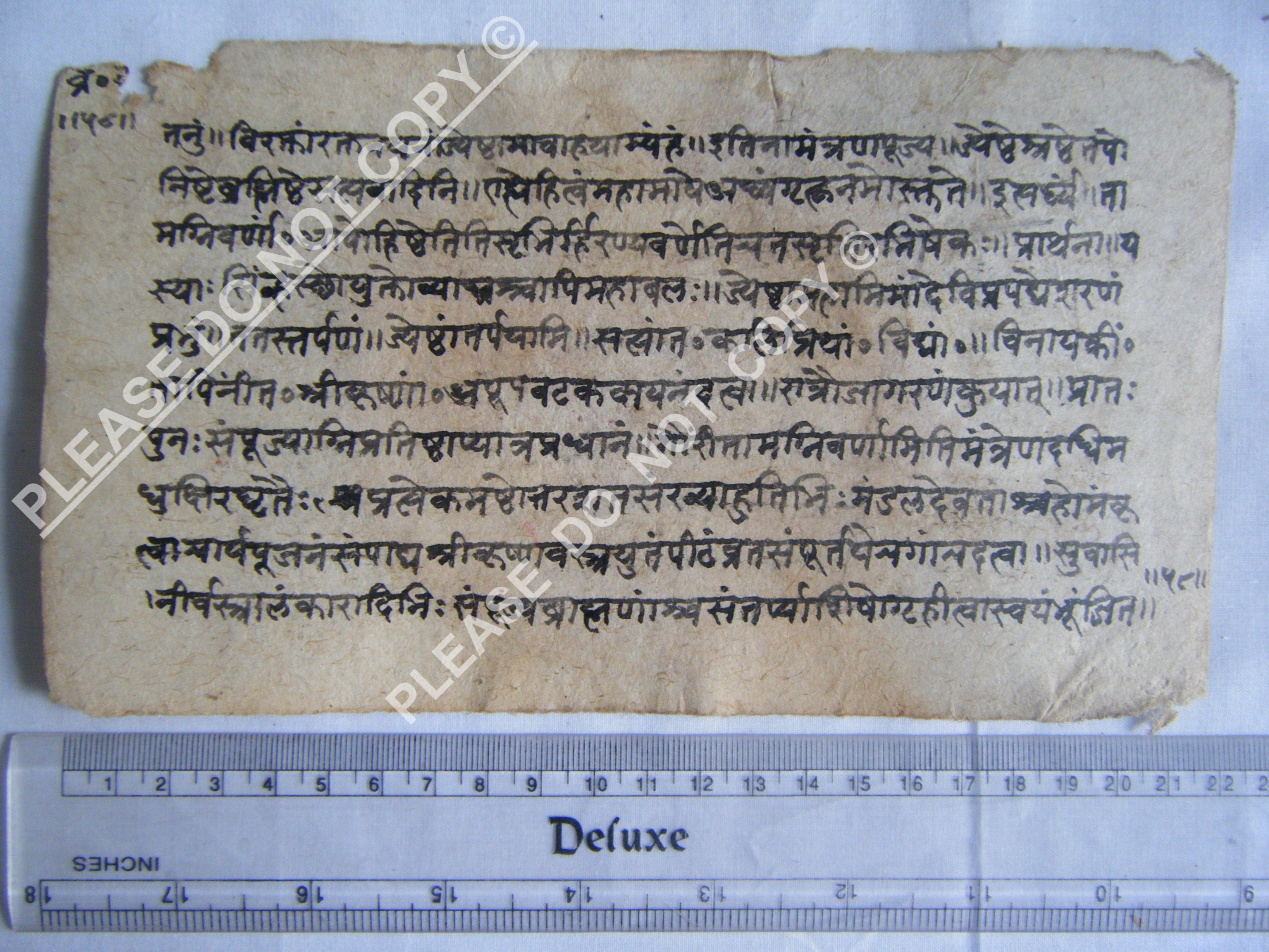 Historic Jain Manuscript Depicting the Structure of the Cosmos