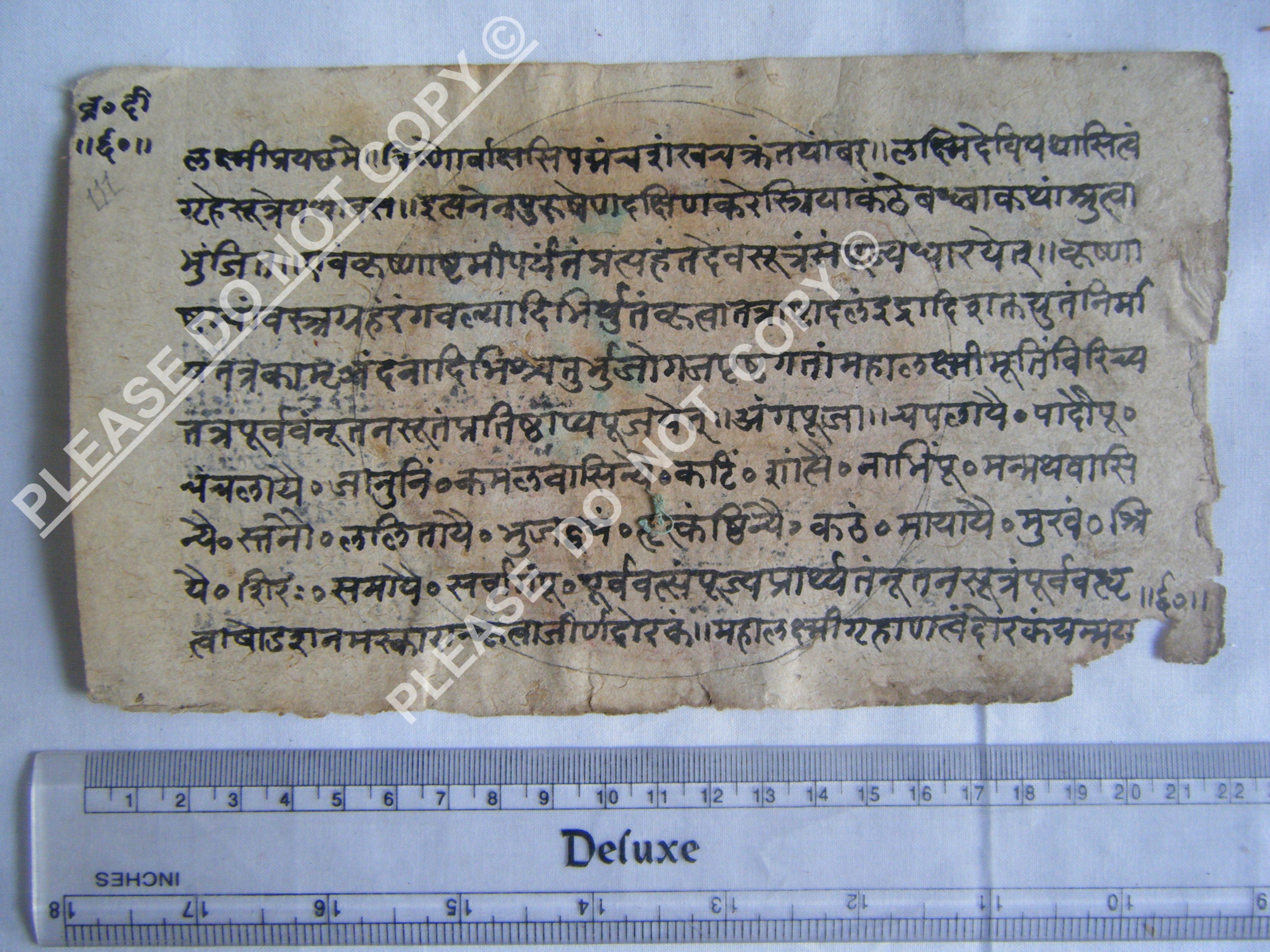 Antique Jain Manuscript Representing Cosmic Geography