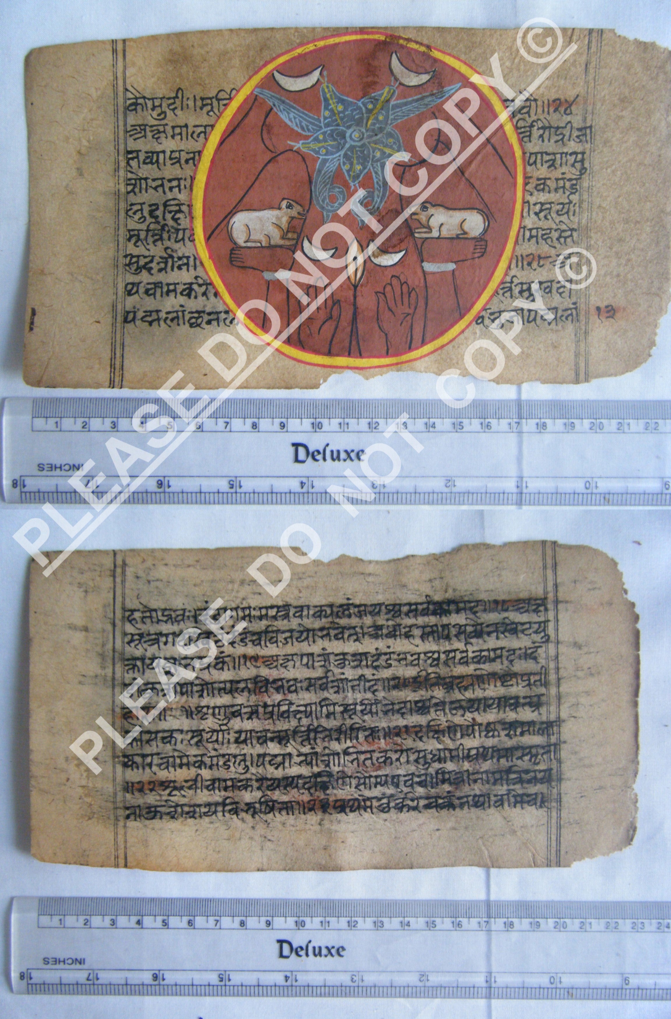 Historic Jain Cosmology Manuscript Folio