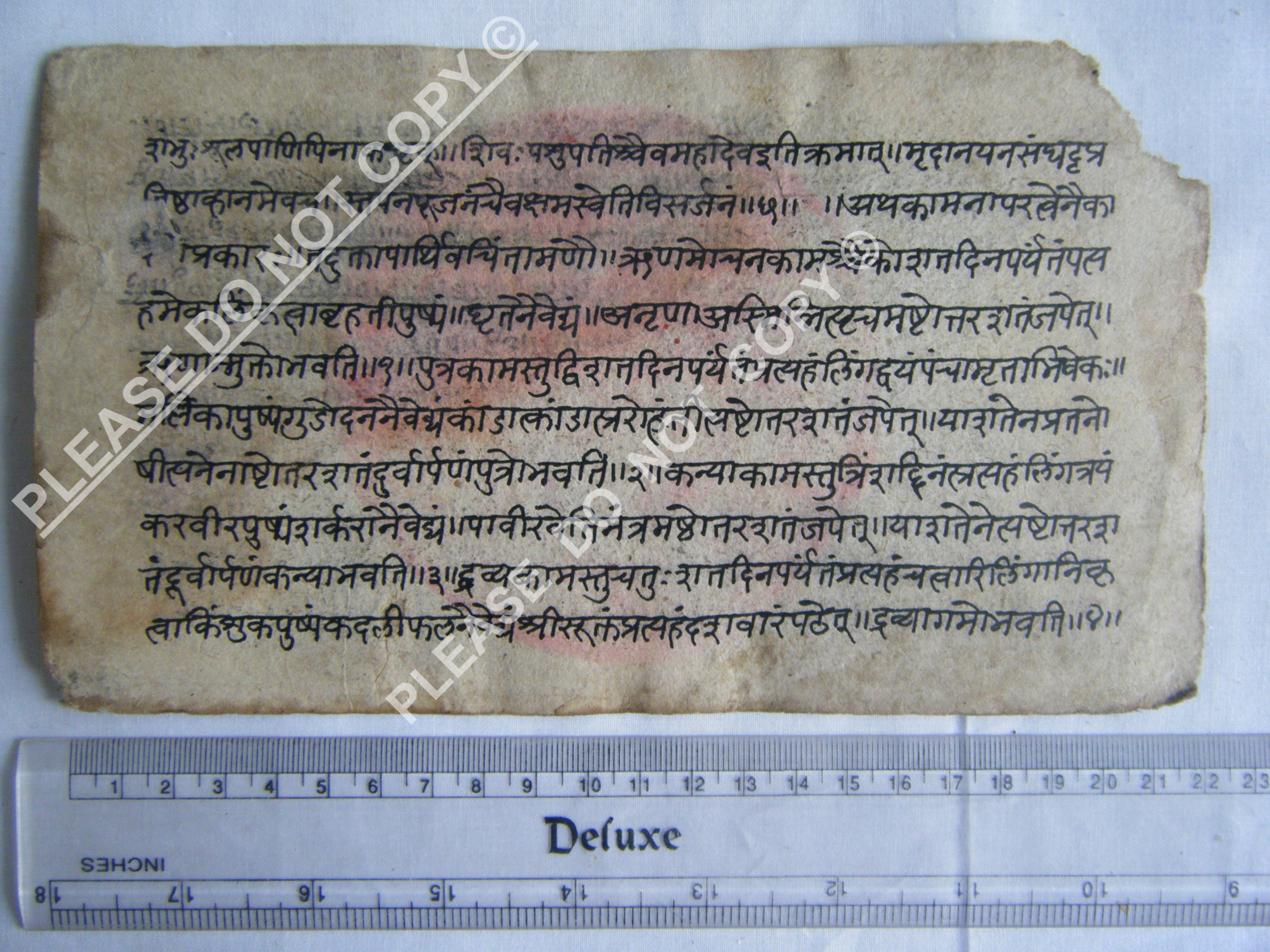 Antique Jain Cosmology Manuscript Preserved on Paper