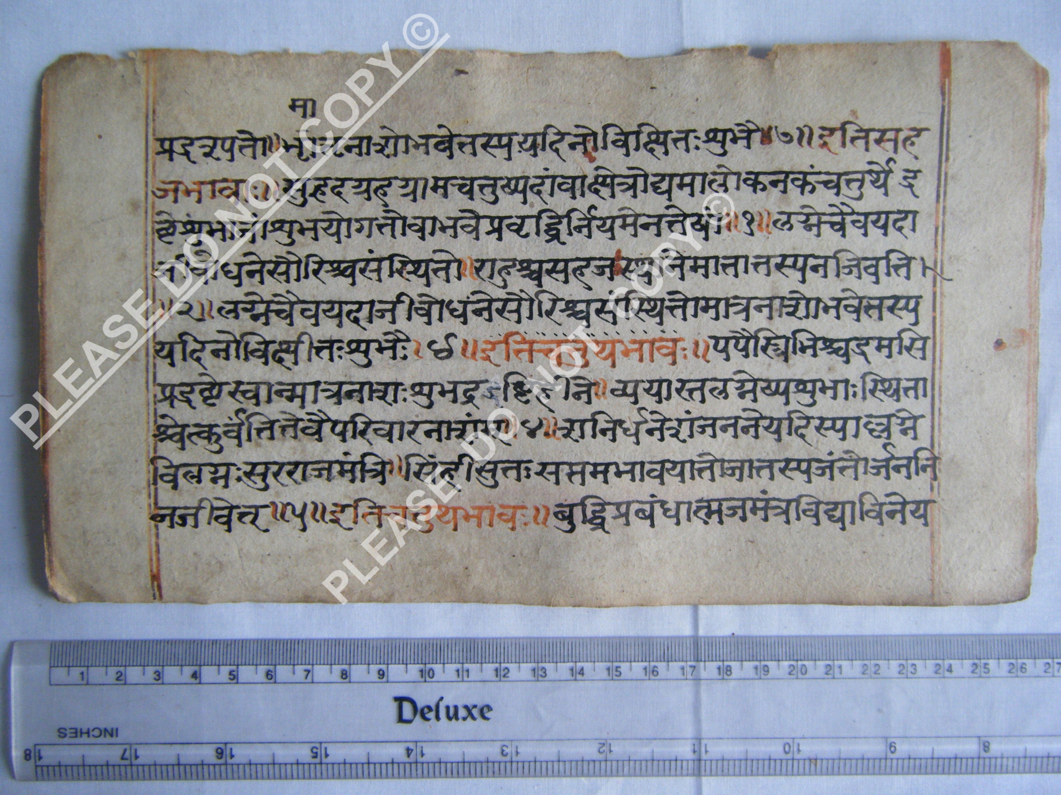 Historic Jain Manuscript Depicting the Order of the Cosmos