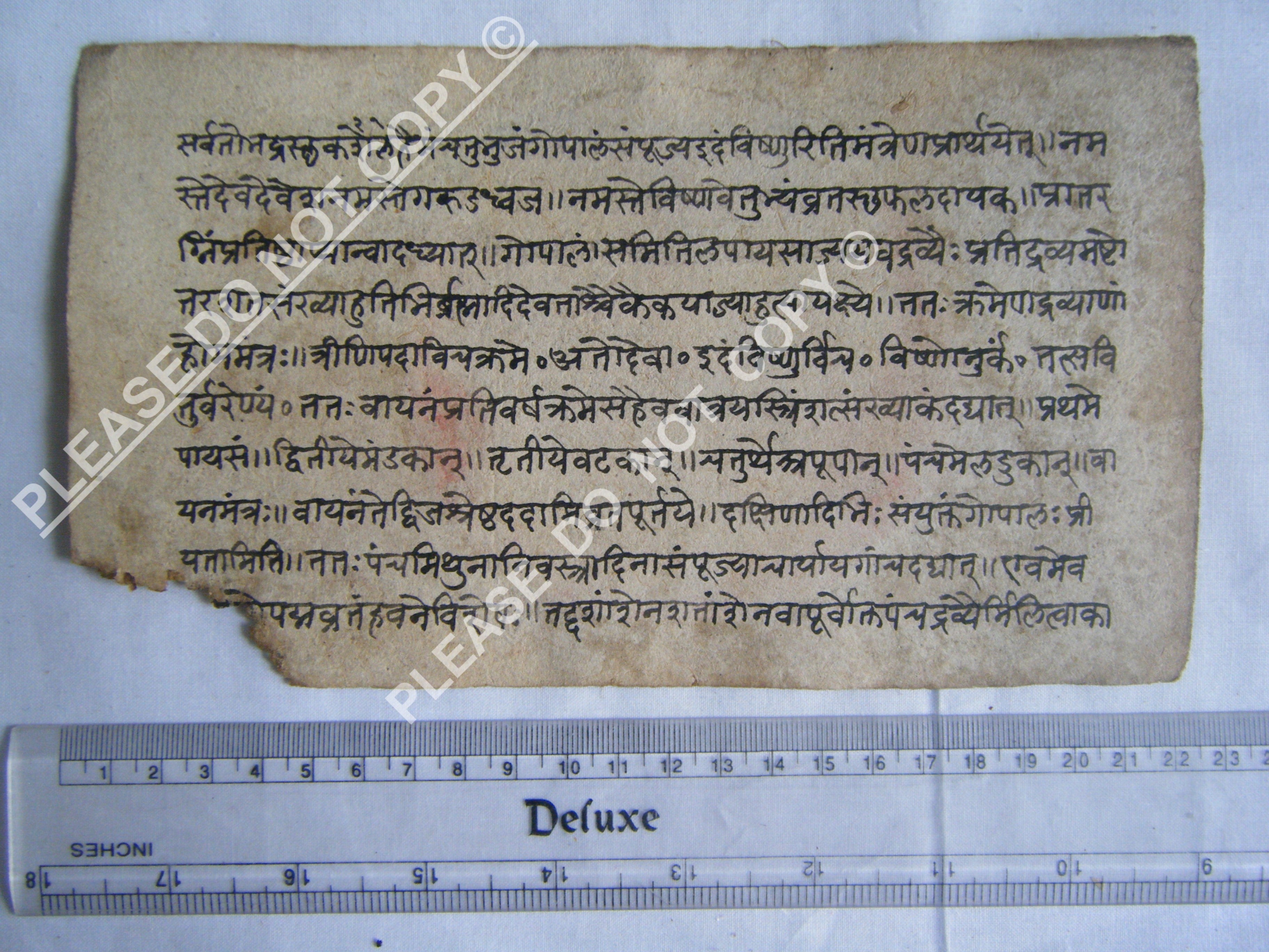 Rare Jain Manuscript Illustrating Cosmological Principles