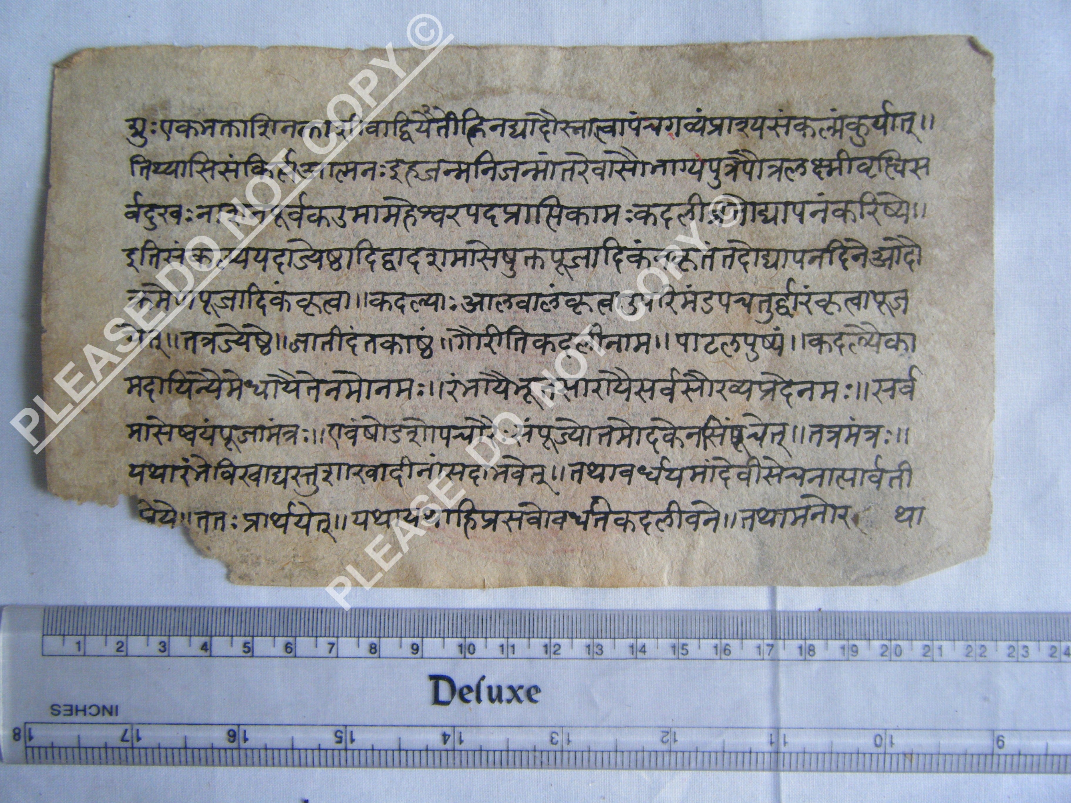 Antique Jain Cosmology Manuscript Preserved on Handmade Paper