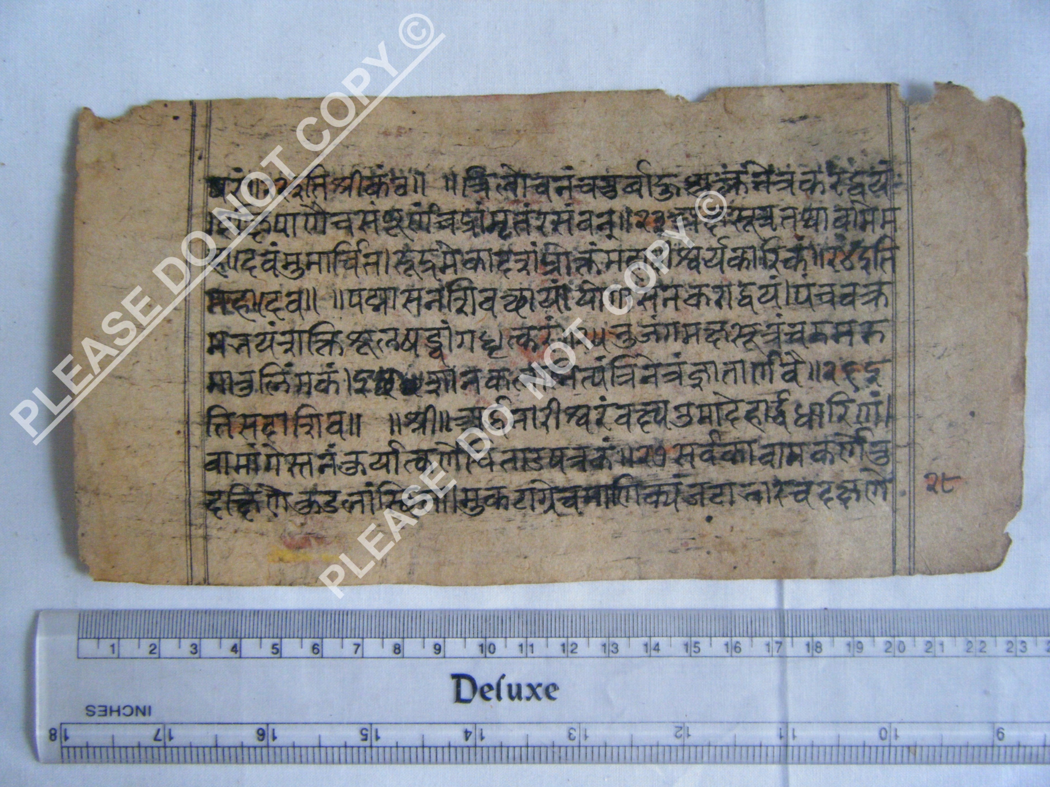 Rare Jain Manuscript Illustrating the Structure of the Cosmos