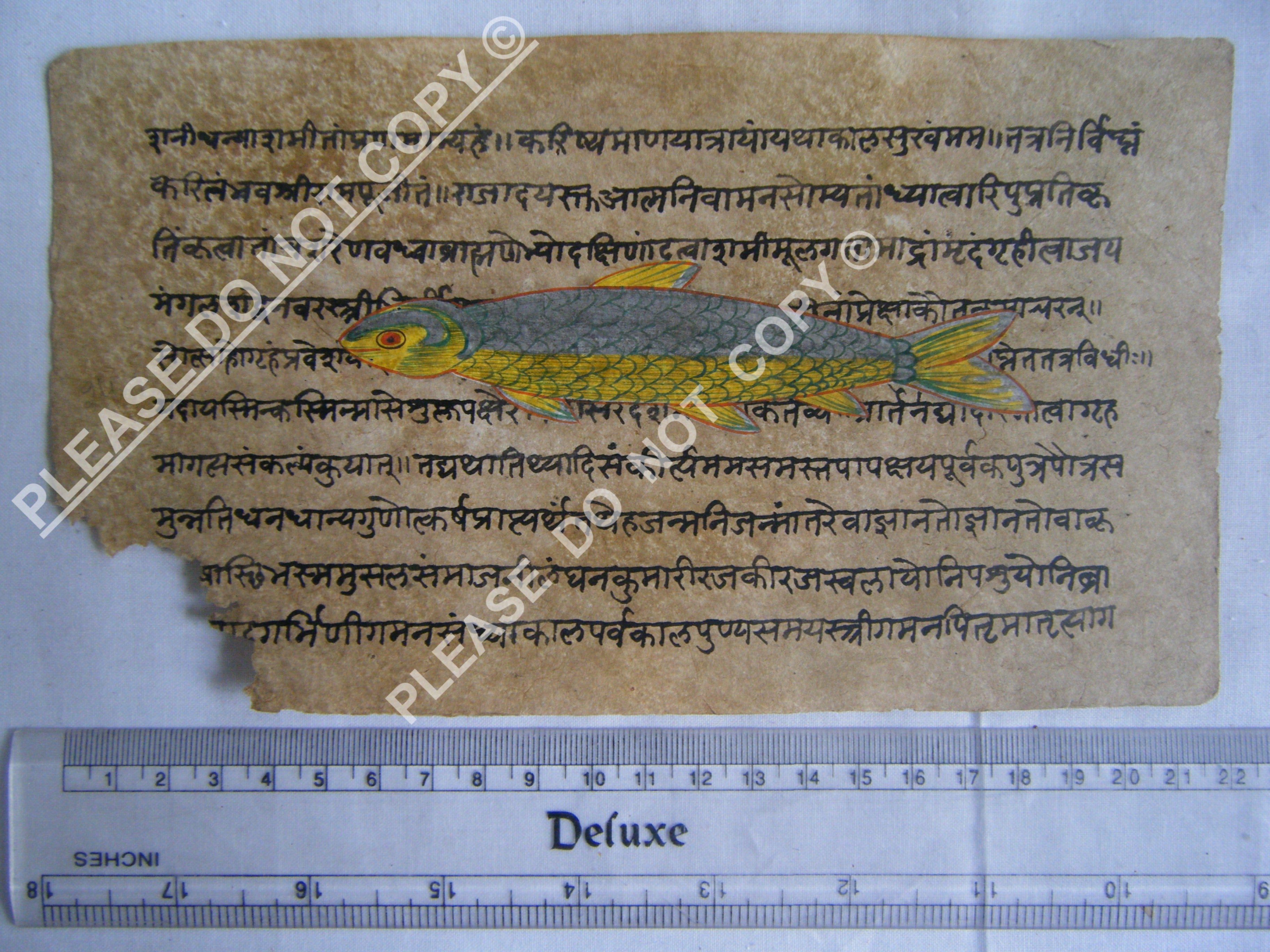 Antique Jain Cosmology Manuscript with Diagrammatic Teachings