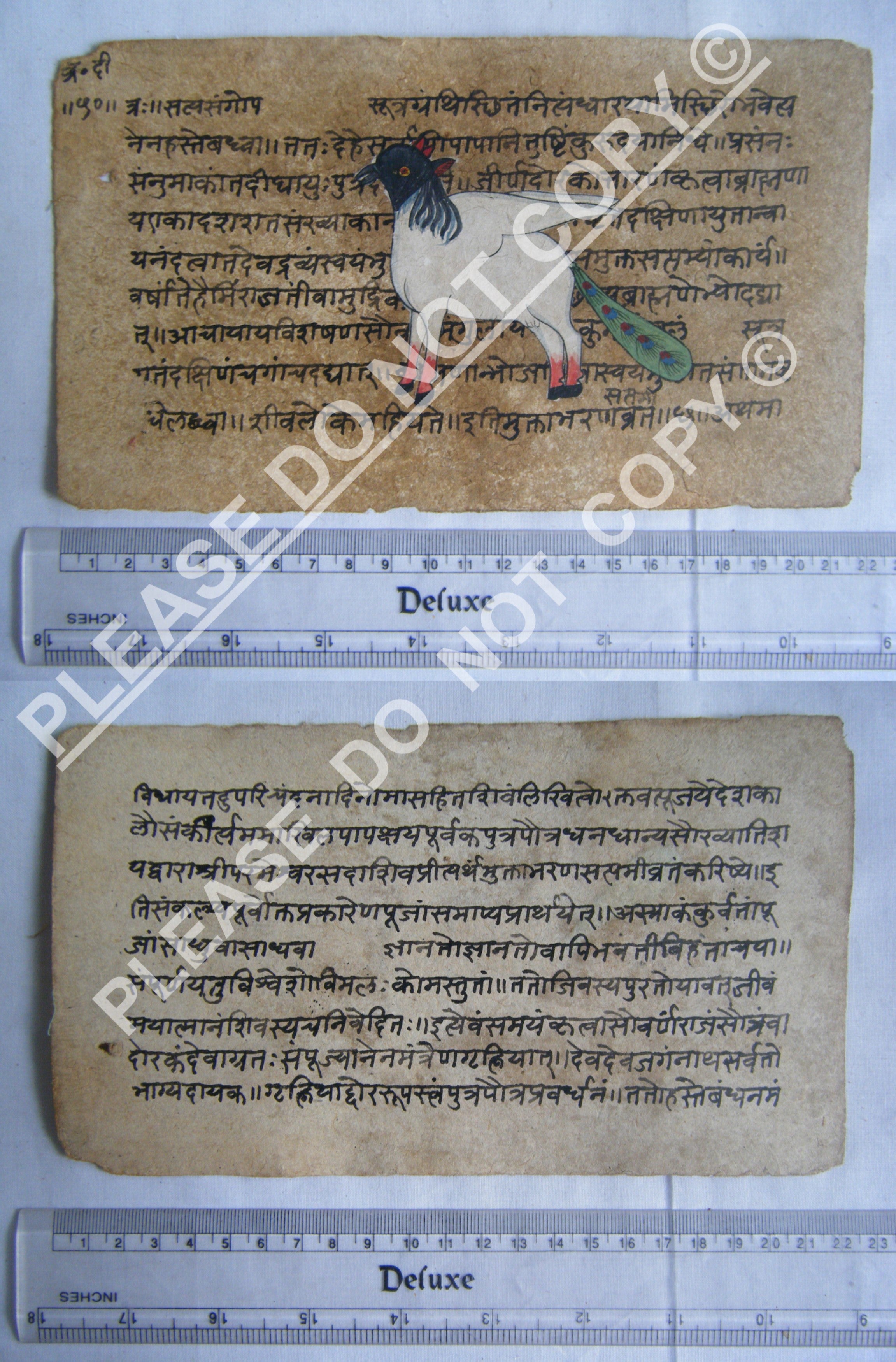 Rare Jain Manuscript Illustrating Cosmic Realms