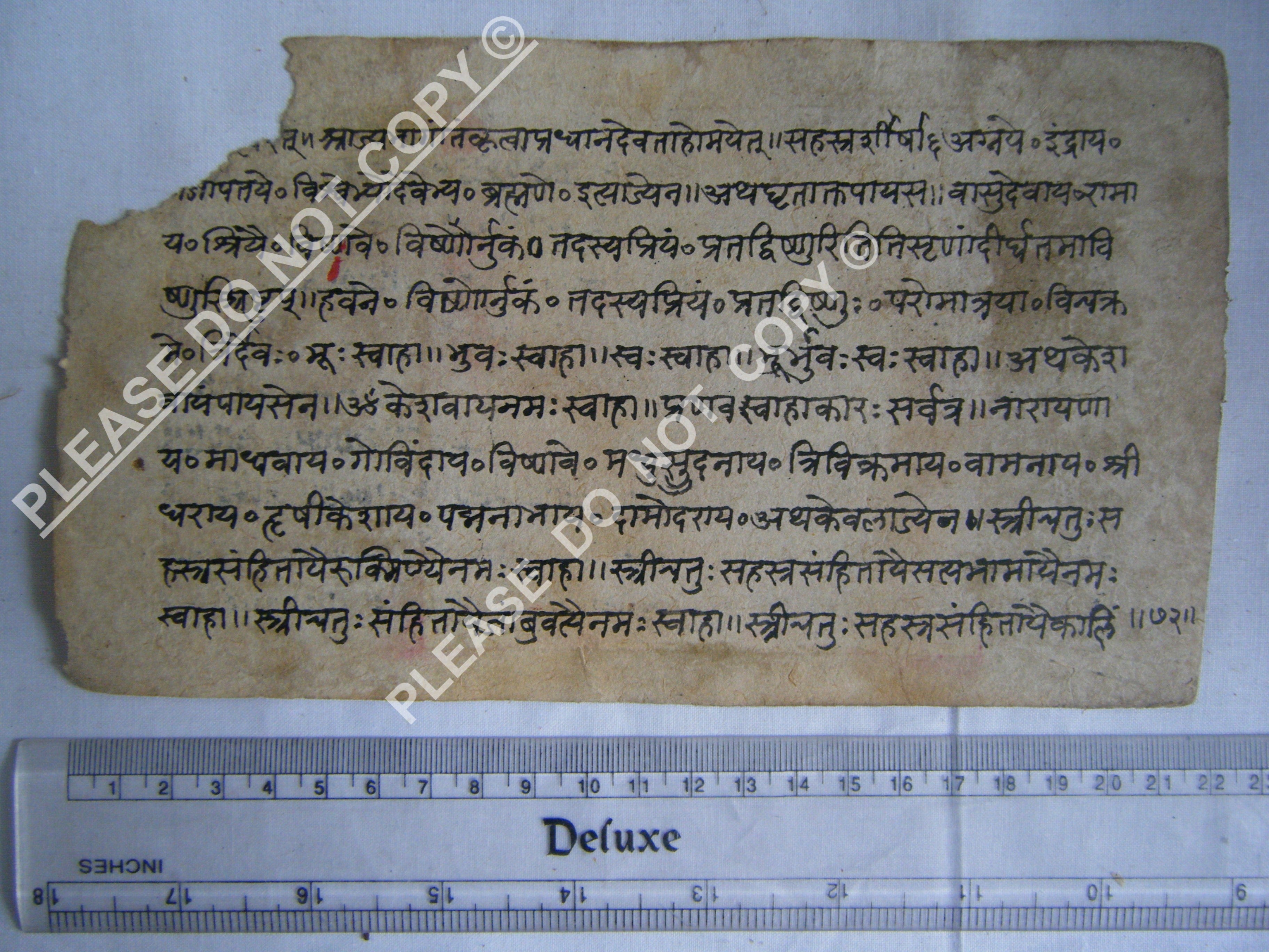 Historic Jain Manuscript Mapping the Cosmic Order