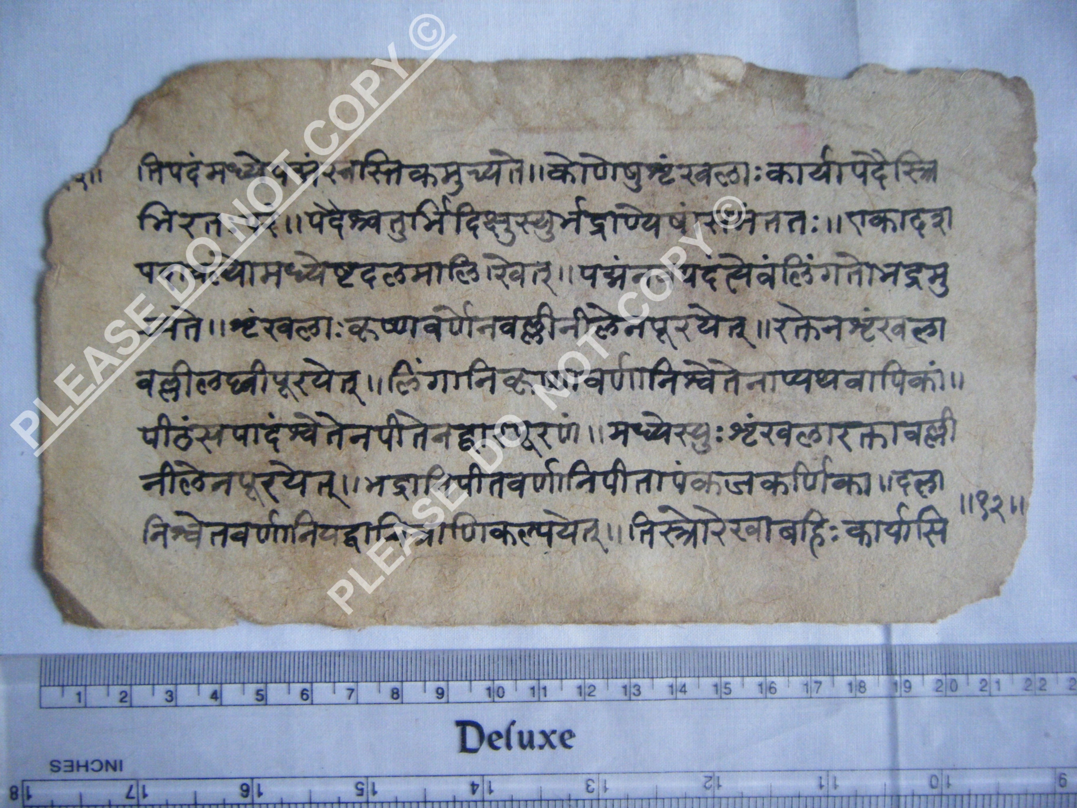 Antique Jain cosmology manuscript folio