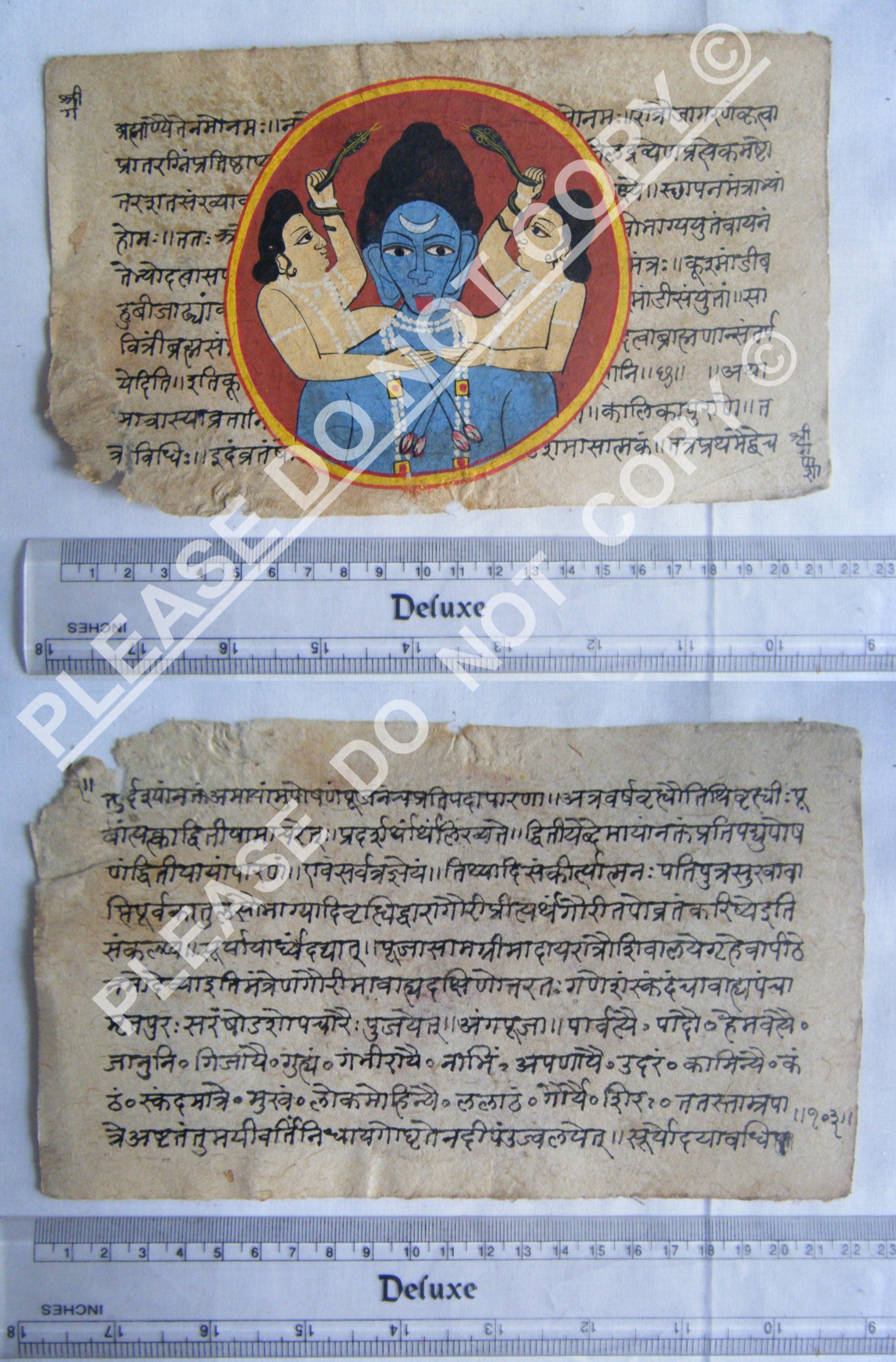 Rare Jain Cosmology Manuscript Folio