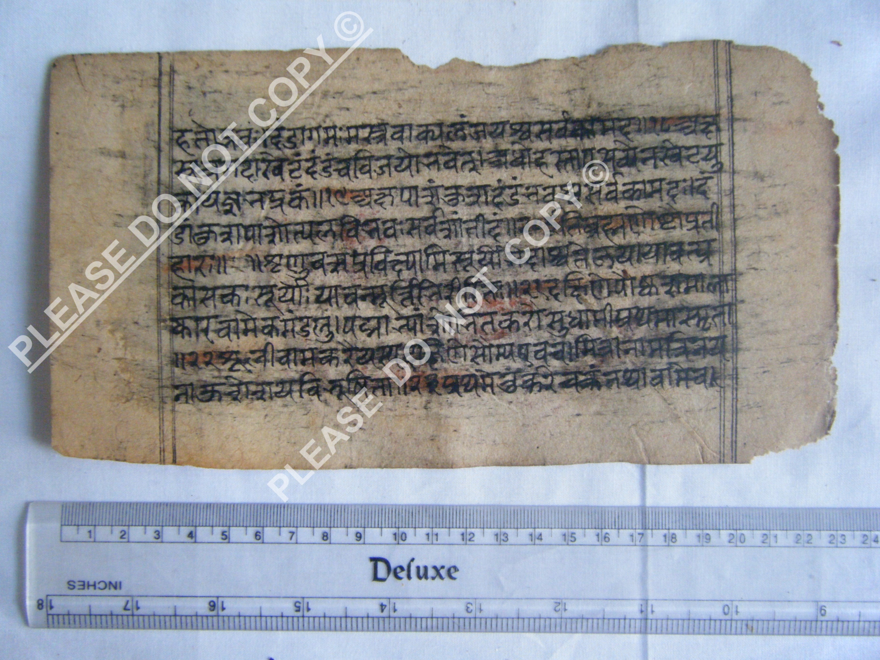 Historic Jain Cosmology Manuscript Folio