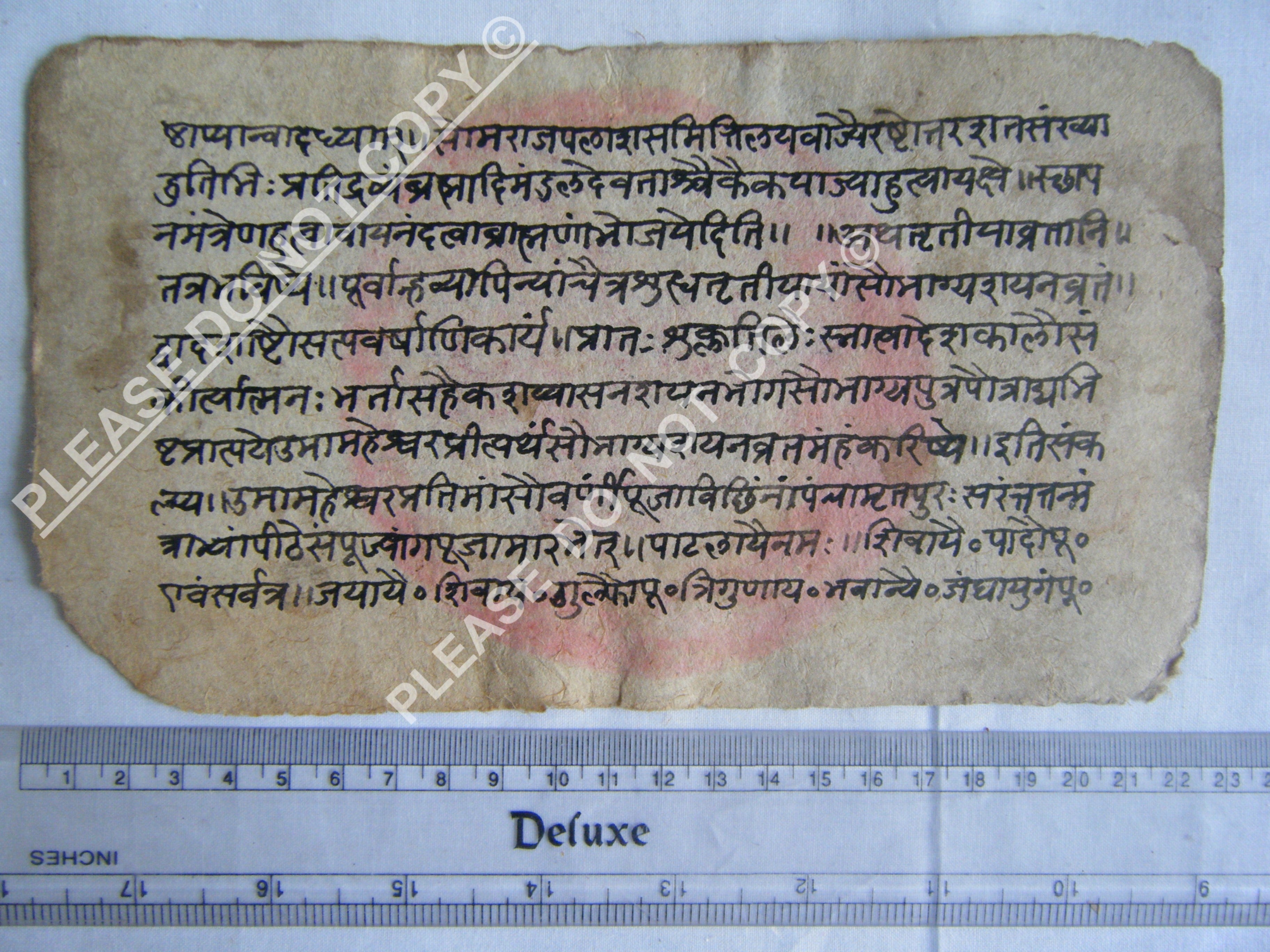 Antique Jain cosmology manuscript folio