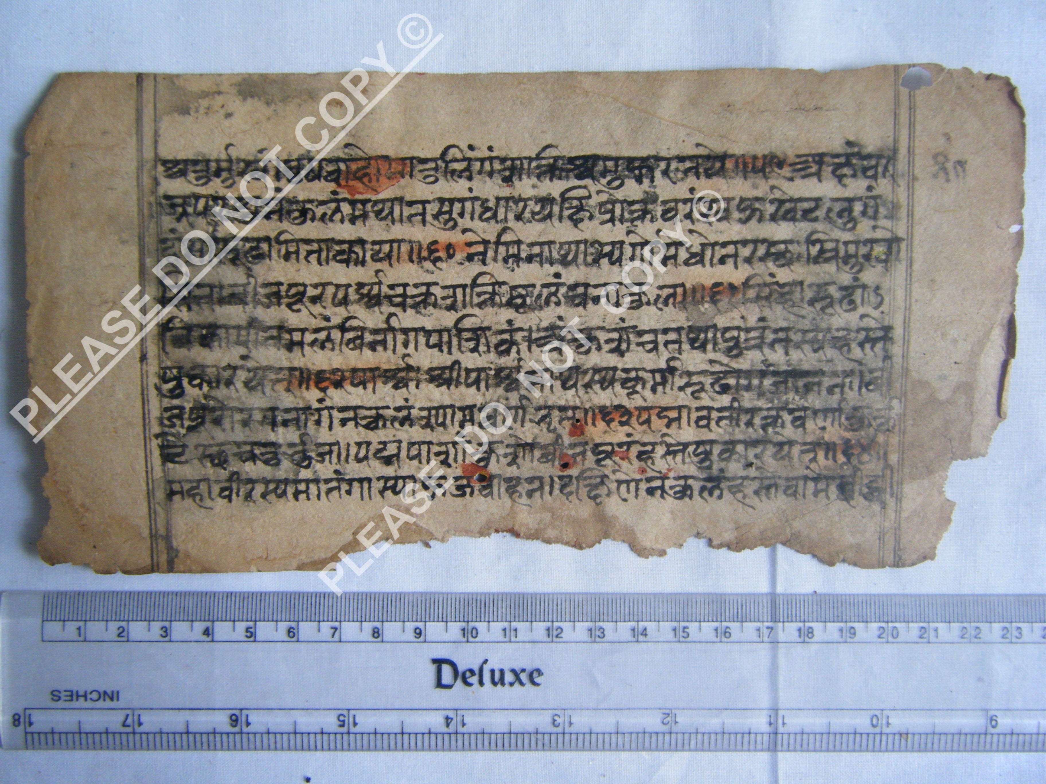 Rare Jain Cosmology Manuscript Mapping the Universe