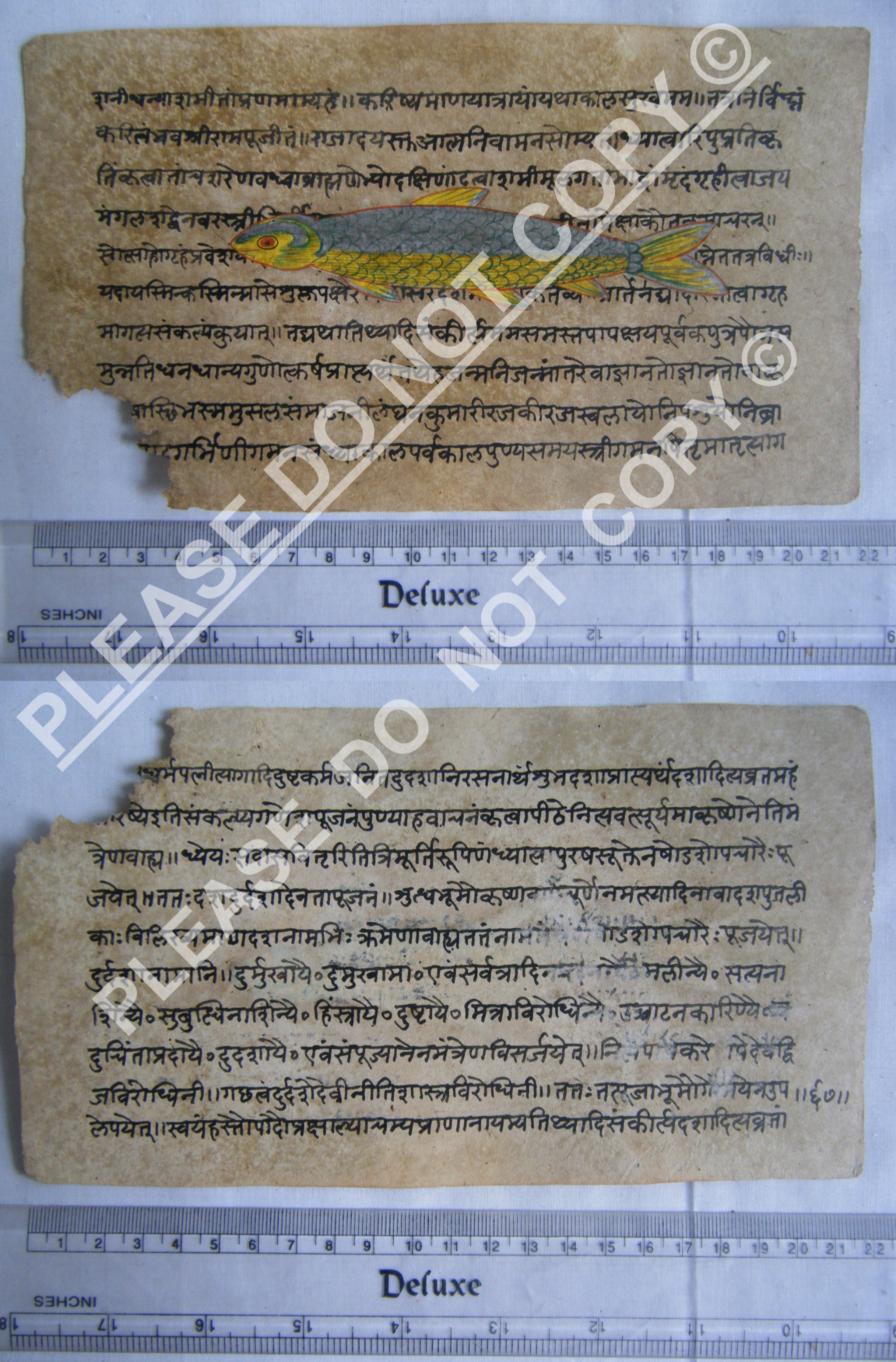 Antique Jain Cosmology Manuscript with Diagrammatic Teachings