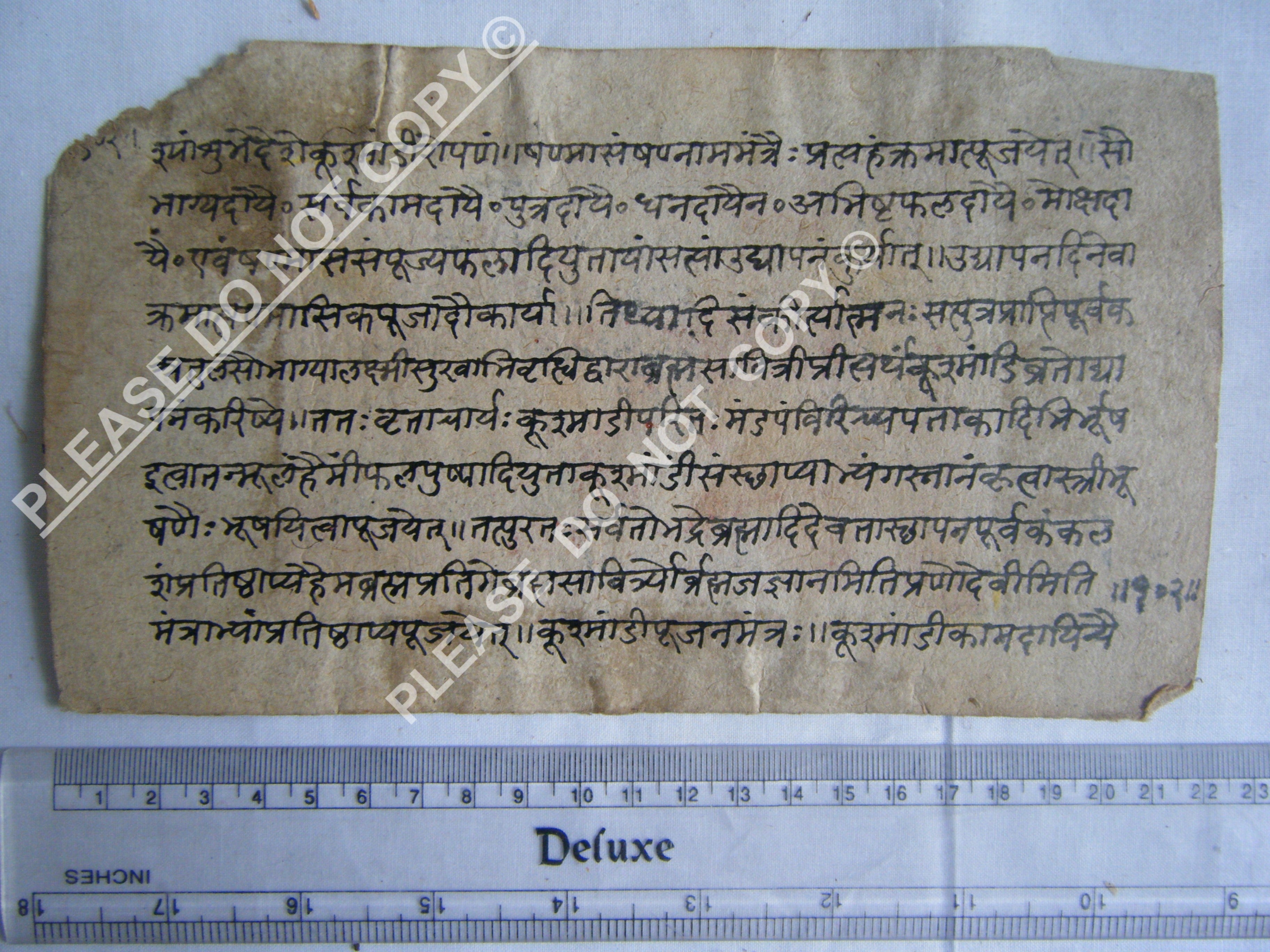 Rare Jain Manuscript Depicting Universal Structure
