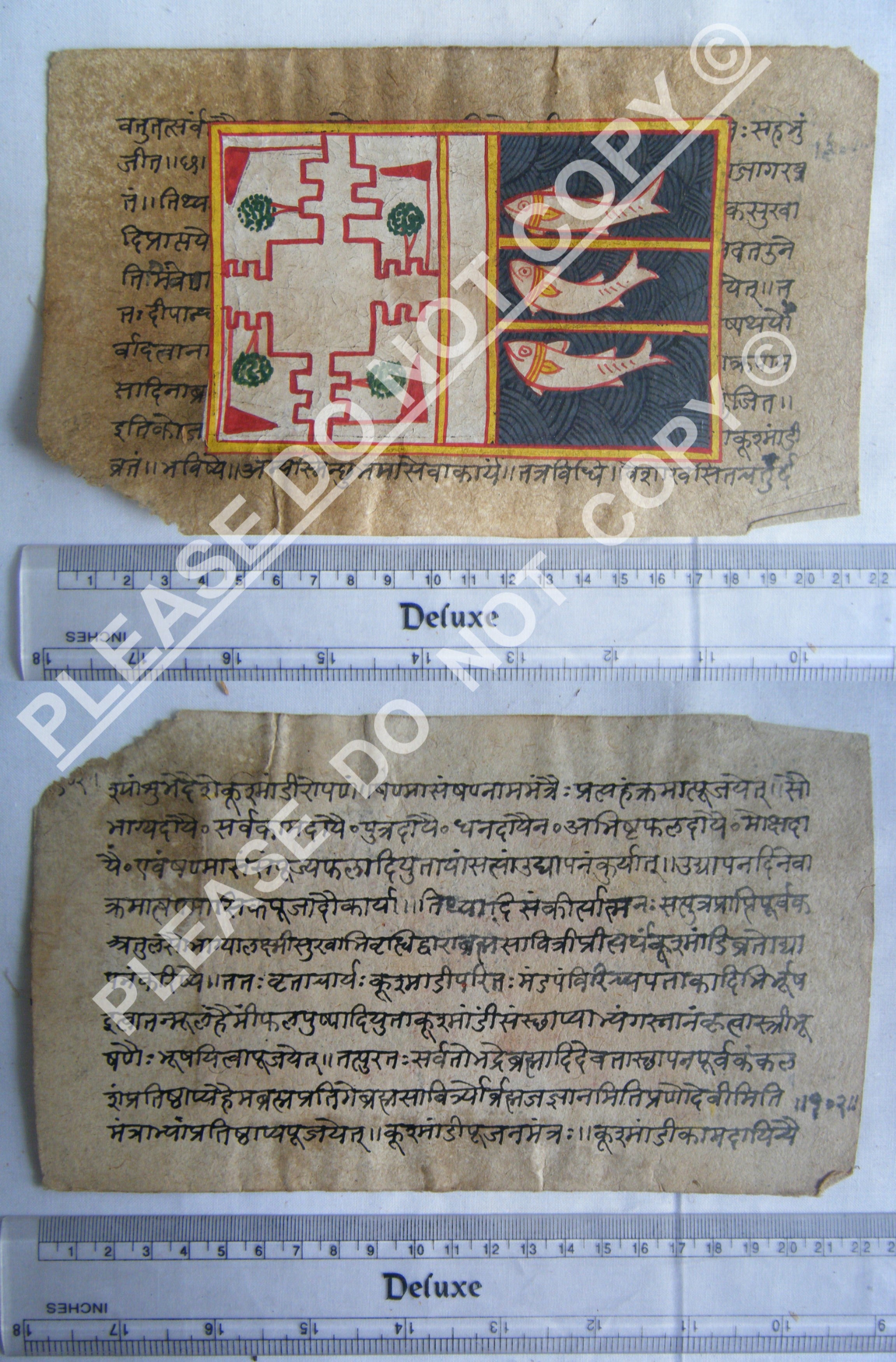 Rare Jain Manuscript Depicting Universal Structure