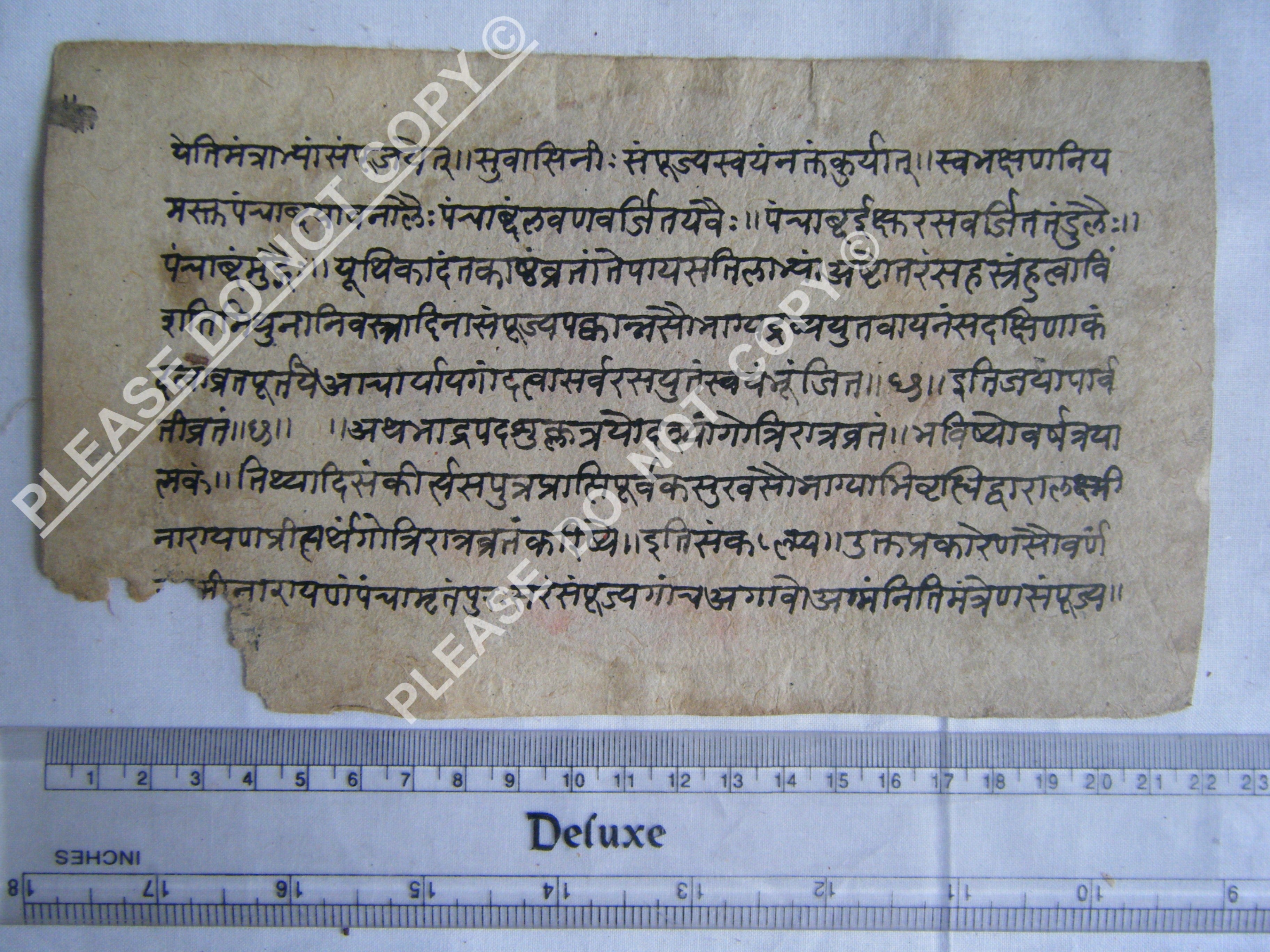 Rare Jain Manuscript Mapping the Cosmic Order