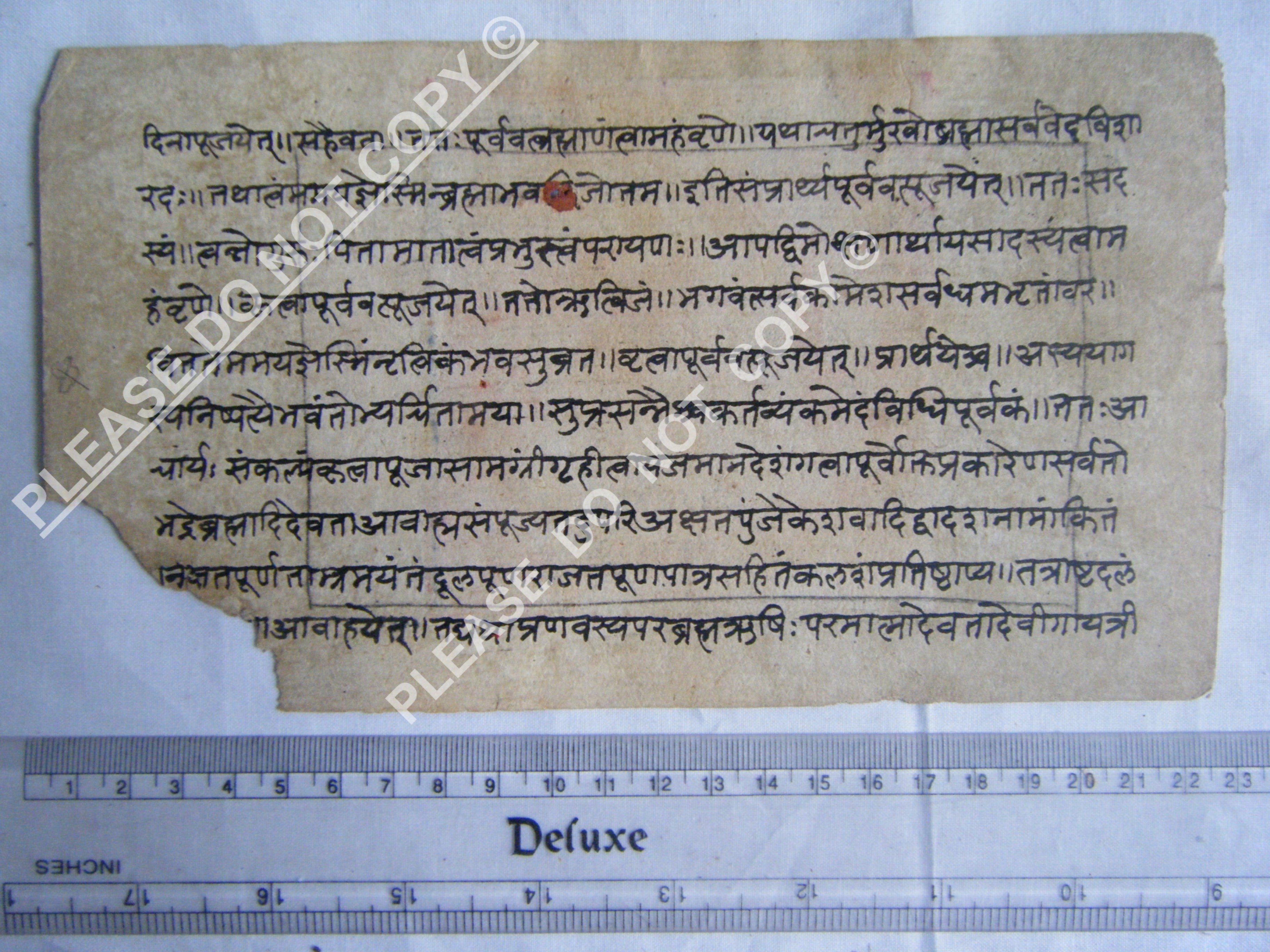 Antique Jain Manuscript Illustrating the Cosmic Framework