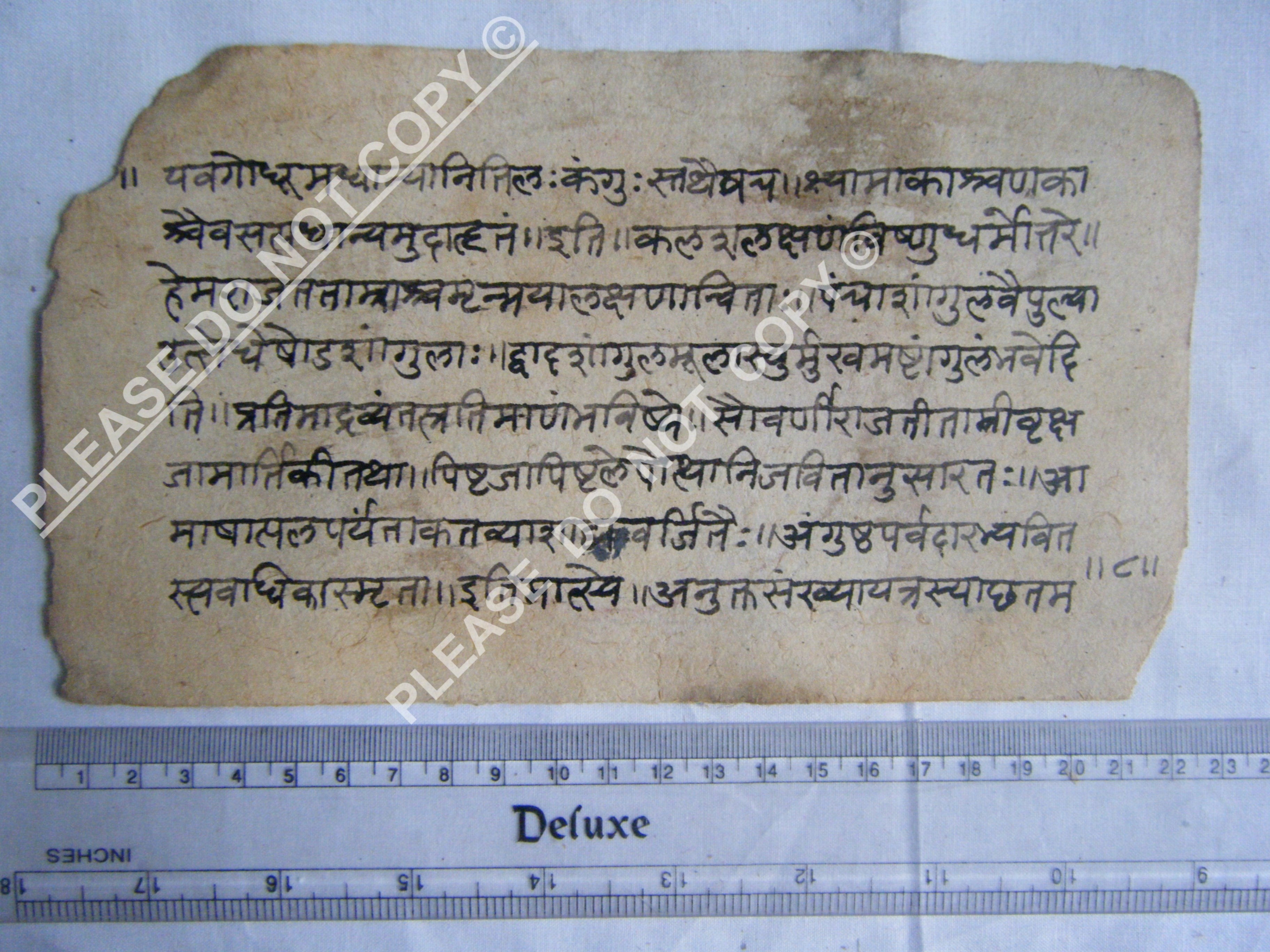 Historic Jain Manuscript Illustrating the Structure of the Cosmos