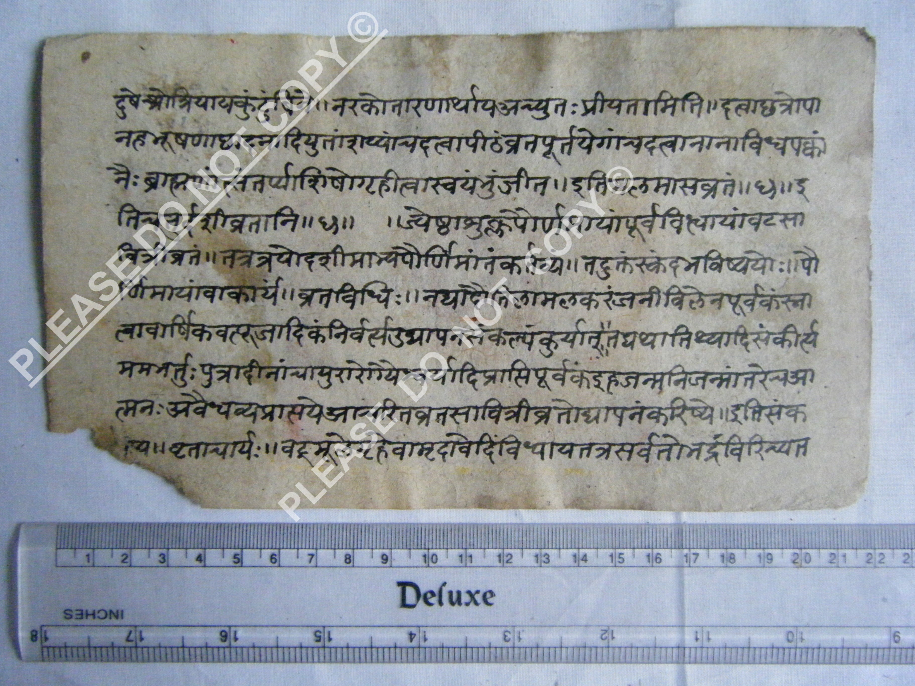 Rare Jain Manuscript Depicting the Eternal Universe