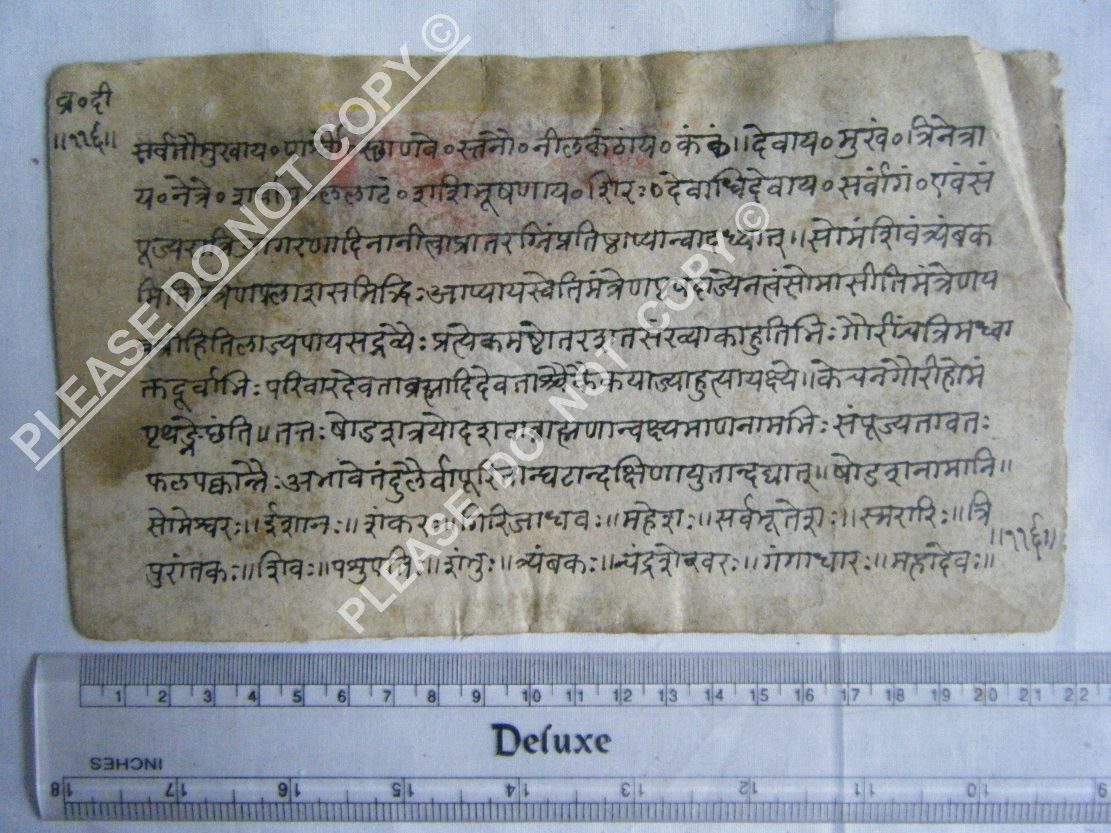 Antique Jain Cosmology Manuscript with Diagrammatic Form